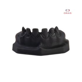 Bloque Entrenamiento Escultura Secuencia Protesis Total Anterior 1.3 a 2.3 902.2 Orais