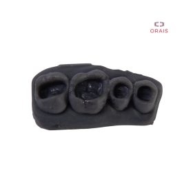 Bloque Entrenamiento Escultura Secuencia Posterior Superior 1.4 a 1.7 902.4 Orais