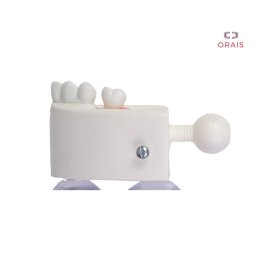 Endobase 6000 Orais