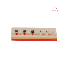Bloque Entrenamiento 3 Capas Dientes R2 903 Orais