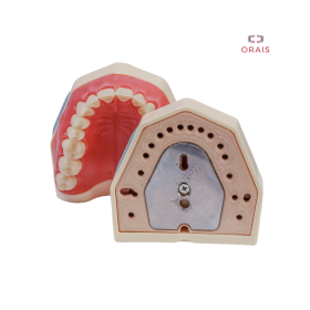 Arcada de Odontologia Estandar Fijacion Magnetica 101-IMA Orais