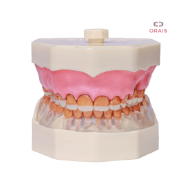Arcada de Periodoncia y Tecnicas Quirurgicas 309 Orais