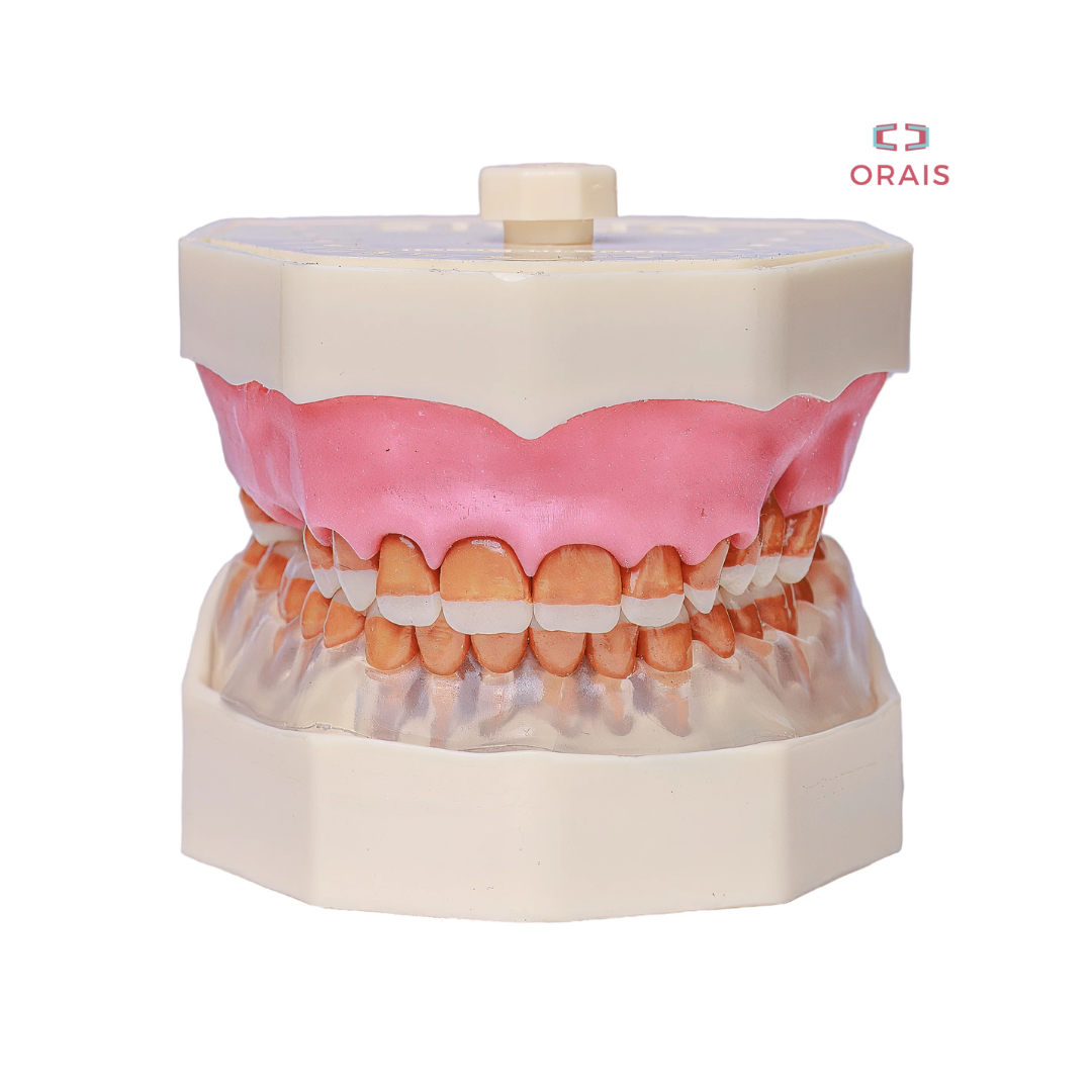 Arcada de Periodoncia y Tecnicas Quirurgicas 309 Orais